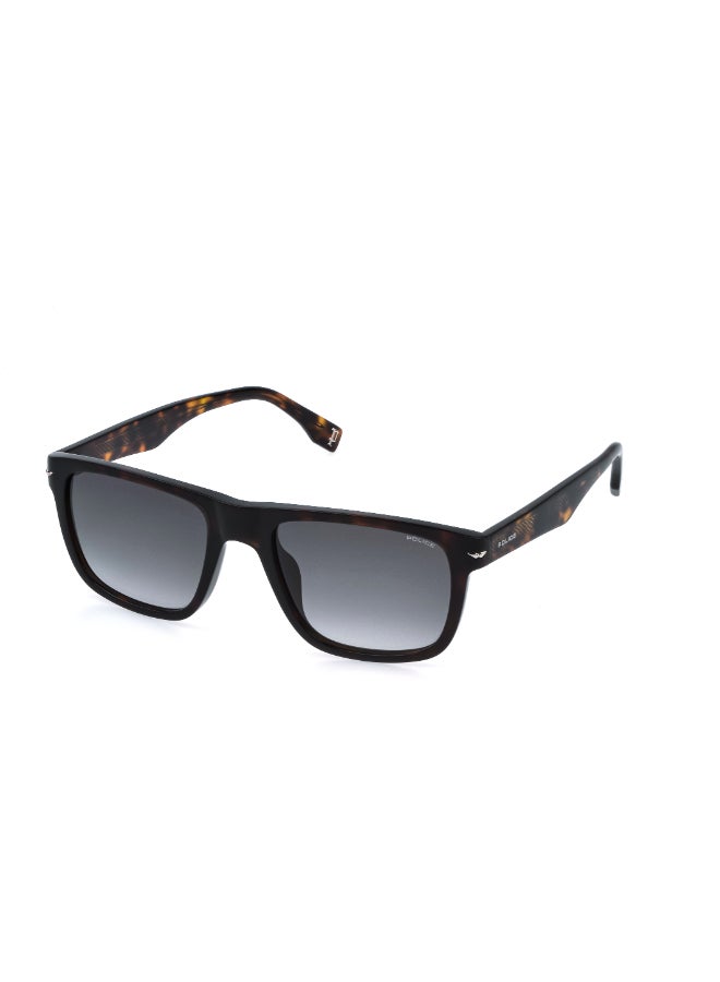 POLICE Sunglasses SPLQ83M - Image 1